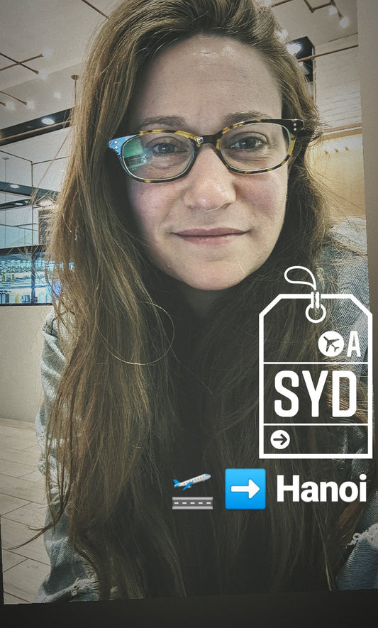 to hanoi in a handbag