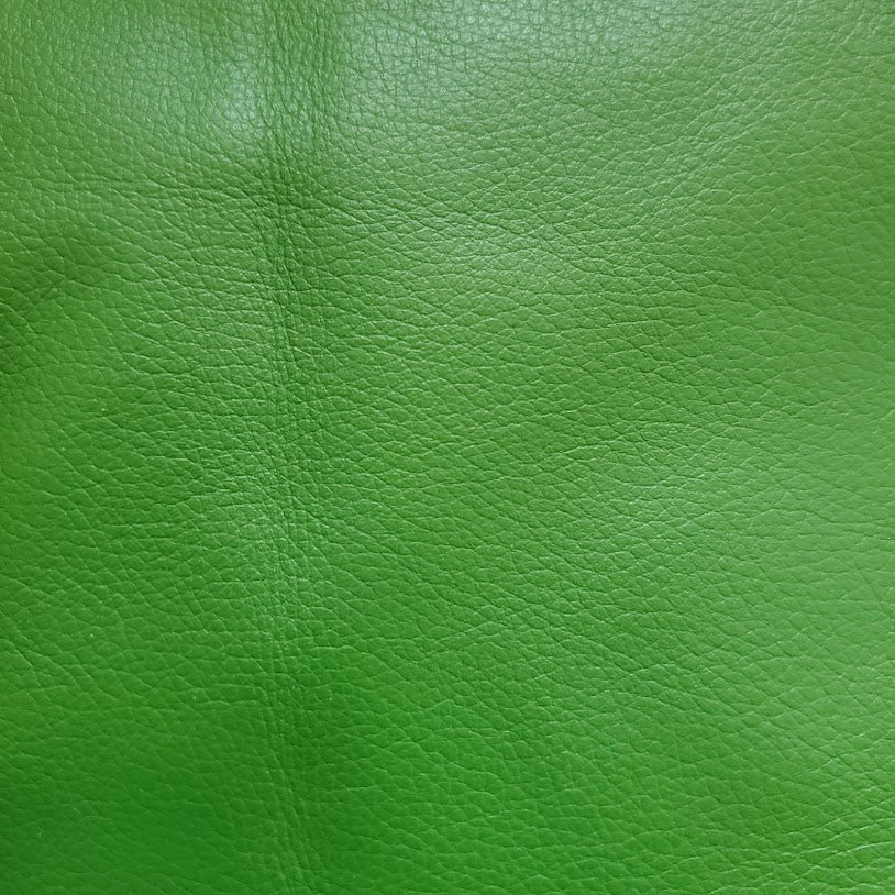 The Everywhere Bag — Kelly Green Leather with Gunmetal Hardware